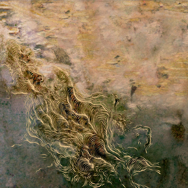 Atsuko Chiba :: Water, It Feels Like It's Growing LP