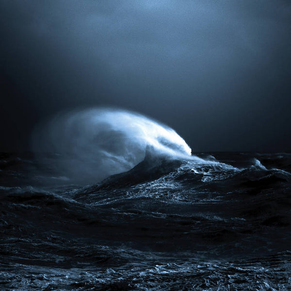 Molnar, Mark :: EXO LP