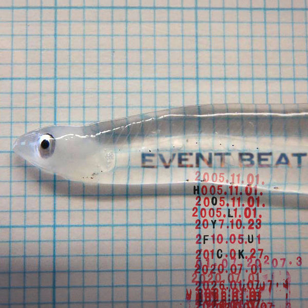 Holy Fuck :: Event Beat LP