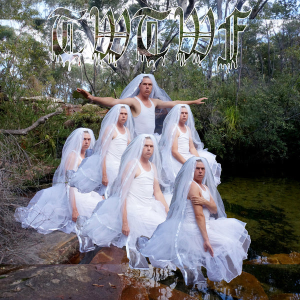 Liars :: Titles With The Word Fountain LP