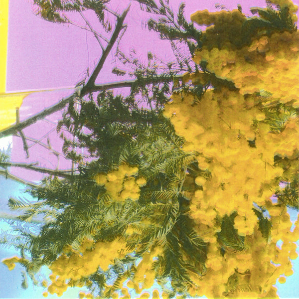 Four Tet :: Into Dust (Still Falling) LP