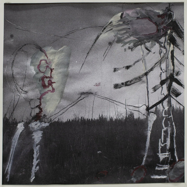 Albatros :: Correct LP