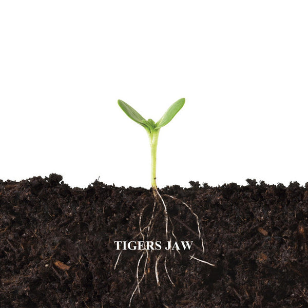 Tigers Jaw/Balance And Composure :: Split EP