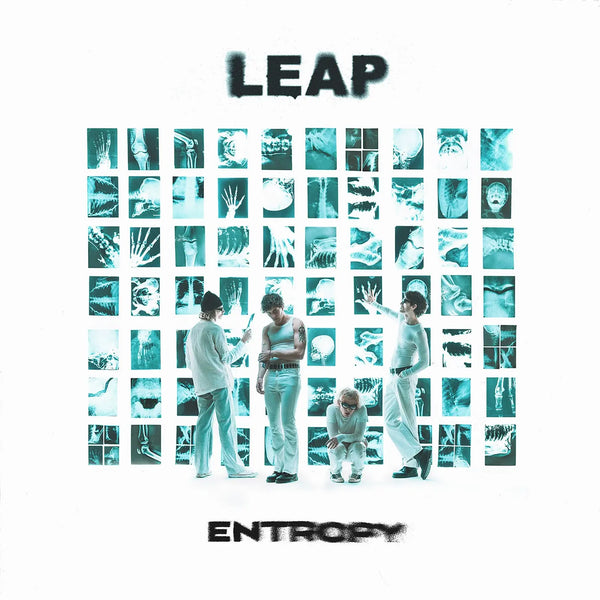 LEAP :: Entropy LP