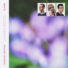 Braids :: Shadow Offering LP