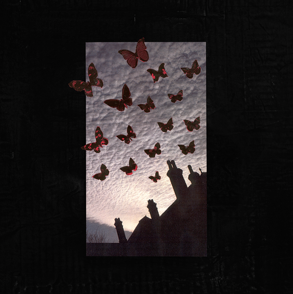 Moneen :: Are We Really Happy Whit Who We Are Right Now? LP