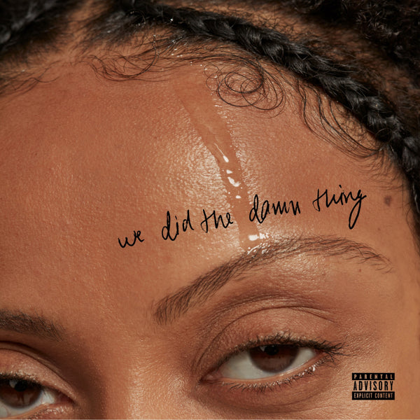 Ali, Naya :: We Did The Damn Thing LP