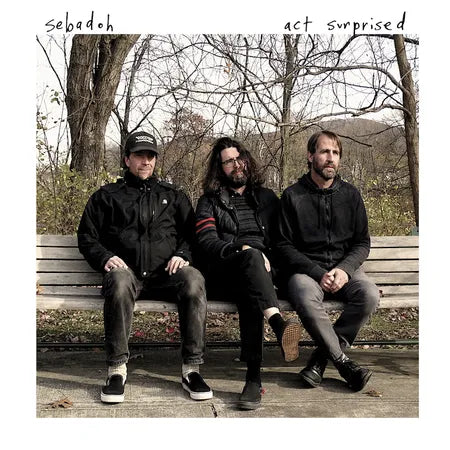 Sebadoh :: Act Surprised LP