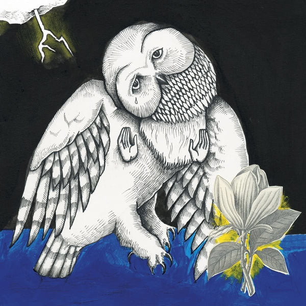 Songs: Ohia :: The Magnolia Electric Co. LP